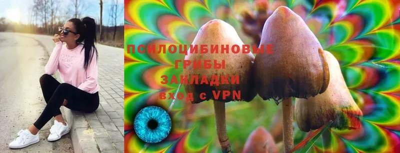 Псилоцибиновые грибы MAGIC MUSHROOMS  мега ONION  Нестеровская 