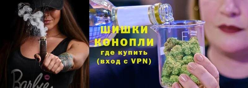 Каннабис OG Kush  Нестеровская 